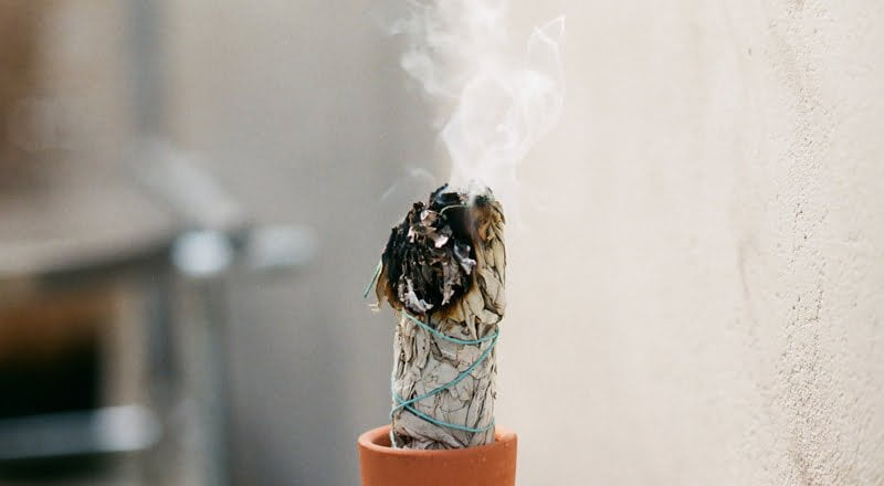White Sage Smudge Stick